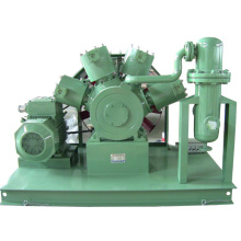 High Pressure Fluoroethylene Compressor Vinyl Fluoride (hew-60/150, CE approval)